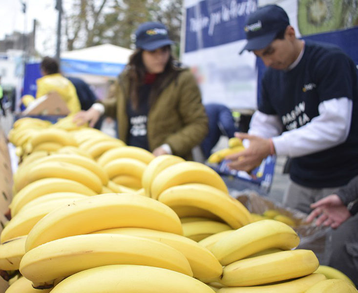 Bananas Daira